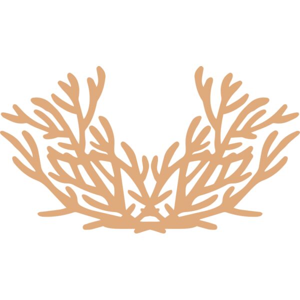 Sea Plants Thumbnail