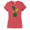 Women's Tee Thumbnail