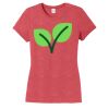 Women's Tee Thumbnail